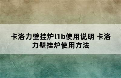 卡洛力壁挂炉l1b使用说明 卡洛力壁挂炉使用方法